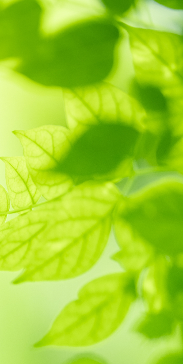 スマホ時の背景